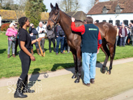 NH220326-35 - Thewoodcorner